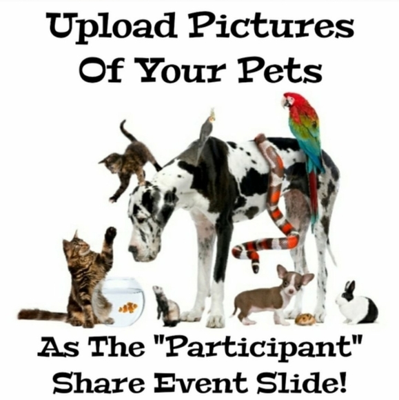 4/11 CLOSED - Picture 2 of 3